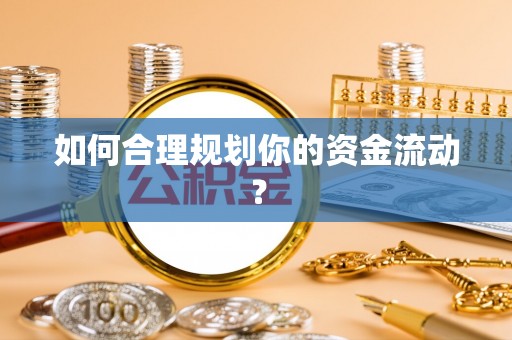 杨梅如何合理规划你的资金流动？