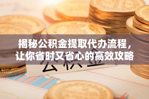 杨梅揭秘公积金提取代办流程，让你省时又省心的高效攻略