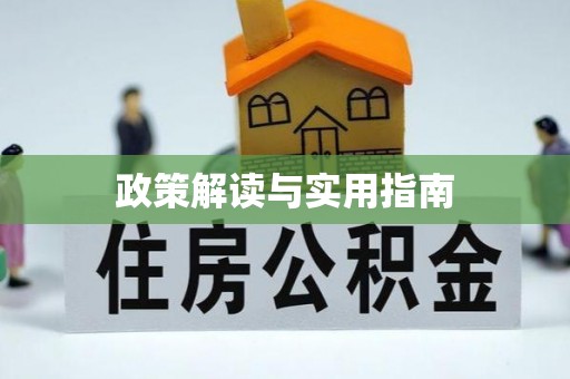 杨梅政策解读与实用指南