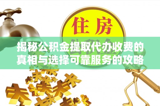 杨梅揭秘公积金提取代办收费的真相与选择可靠服务的攻略
