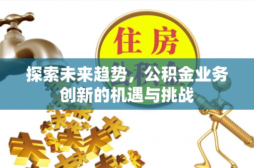 杨梅探索未来趋势，公积金业务创新的机遇与挑战