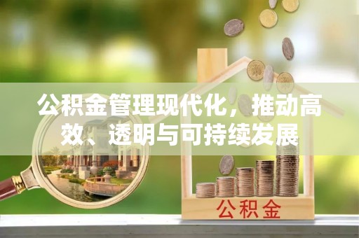 杨梅公积金管理现代化，推动高效、透明与可持续发展