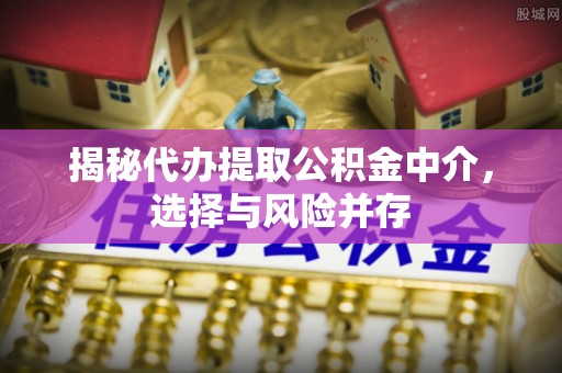 杨梅揭秘代办提取公积金中介，选择与风险并存