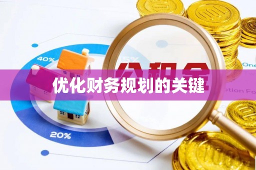 杨梅优化财务规划的关键
