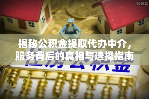 杨梅揭秘公积金提取代办中介，服务背后的真相与选择指南