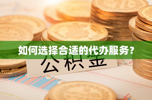 杨梅如何选择合适的代办服务？