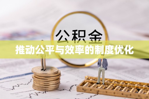 杨梅推动公平与效率的制度优化