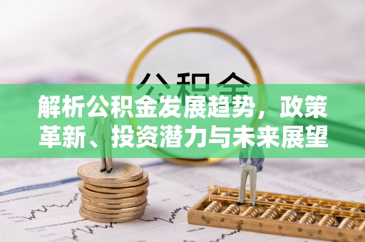 杨梅解析公积金发展趋势，政策革新、投资潜力与未来展望