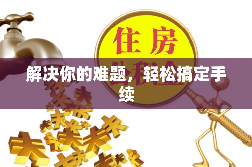 杨梅解决你的难题，轻松搞定手续