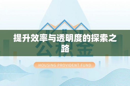 杨梅提升效率与透明度的探索之路
