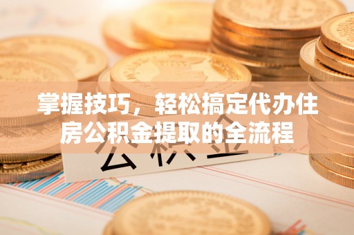 杨梅掌握技巧，轻松搞定代办住房公积金提取的全流程