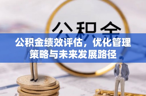 杨梅公积金绩效评估，优化管理策略与未来发展路径