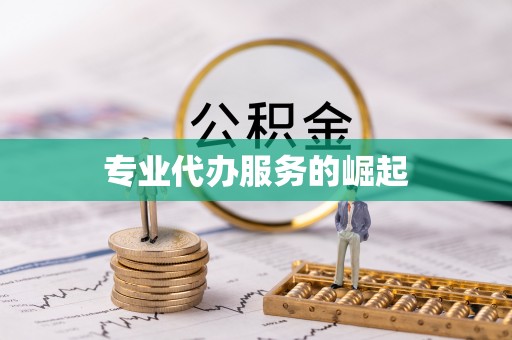 杨梅专业代办服务的崛起
