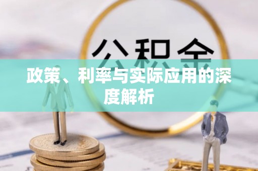 杨梅政策、利率与实际应用的深度解析