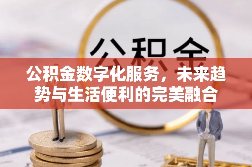 杨梅公积金数字化服务，未来趋势与生活便利的完美融合