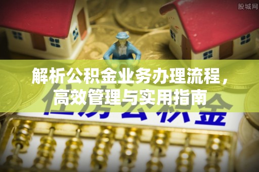 杨梅解析公积金业务办理流程，高效管理与实用指南