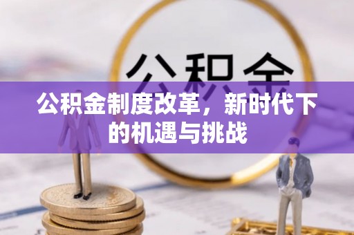 杨梅公积金制度改革，新时代下的机遇与挑战
