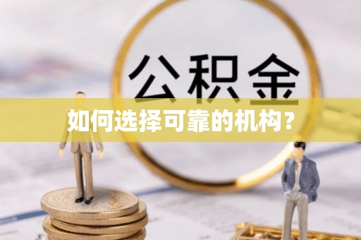 杨梅如何选择可靠的机构？