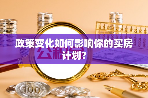 杨梅政策变化如何影响你的买房计划？