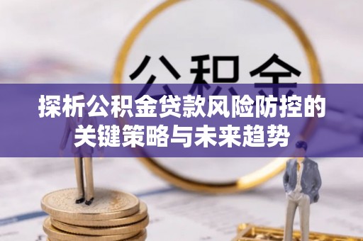 杨梅探析公积金贷款风险防控的关键策略与未来趋势