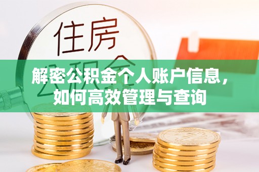 杨梅解密公积金个人账户信息，如何高效管理与查询