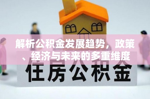 杨梅解析公积金发展趋势，政策、经济与未来的多重维度