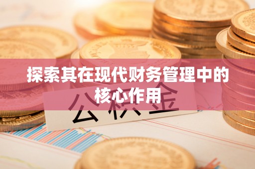 杨梅探索其在现代财务管理中的核心作用