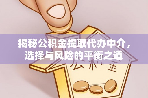杨梅揭秘公积金提取代办中介，选择与风险的平衡之道