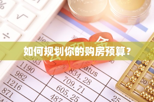 杨梅如何规划你的购房预算？