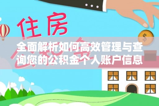 杨梅全面解析如何高效管理与查询您的公积金个人账户信息