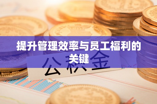 杨梅提升管理效率与员工福利的关键