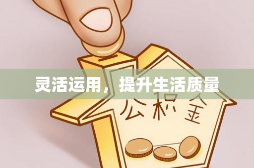 杨梅灵活运用，提升生活质量
