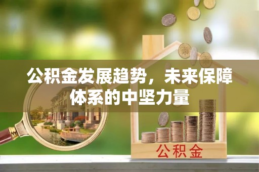 杨梅公积金发展趋势，未来保障体系的中坚力量