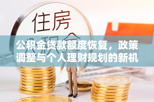 杨梅公积金贷款额度恢复，政策调整与个人理财规划的新机遇