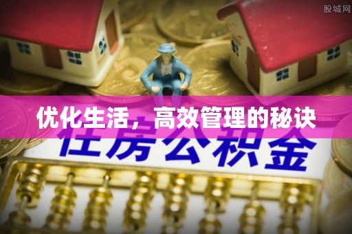 杨梅优化生活，高效管理的秘诀