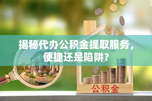 杨梅揭秘代办公积金提取服务，便捷还是陷阱？