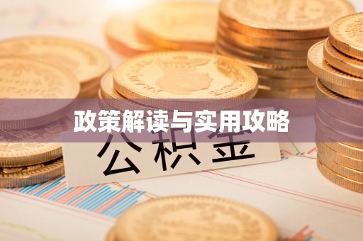 杨梅政策解读与实用攻略