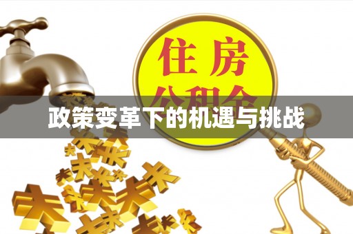 杨梅政策变革下的机遇与挑战