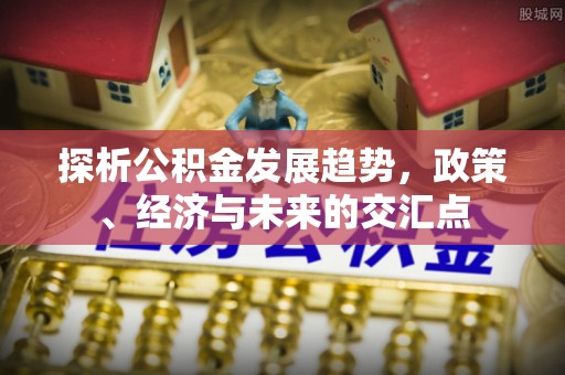 杨梅探析公积金发展趋势，政策、经济与未来的交汇点