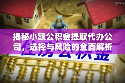 杨梅揭秘小额公积金提取代办公司，选择与风险的全面解析