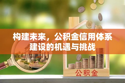 杨梅构建未来，公积金信用体系建设的机遇与挑战