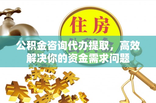 杨梅公积金咨询代办提取，高效解决你的资金需求问题