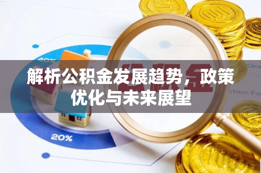 杨梅解析公积金发展趋势，政策优化与未来展望