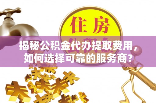 杨梅揭秘公积金代办提取费用，如何选择可靠的服务商？