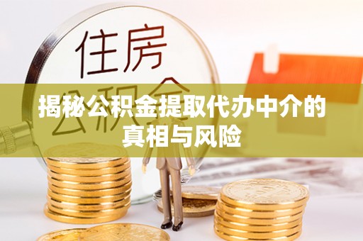 杨梅揭秘公积金提取代办中介的真相与风险
