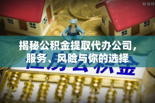 杨梅揭秘公积金提取代办公司，服务、风险与你的选择