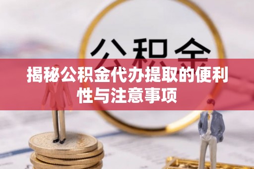 杨梅揭秘公积金代办提取的便利性与注意事项