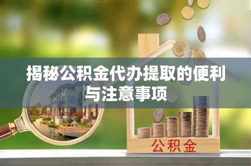杨梅揭秘公积金代办提取的便利与注意事项