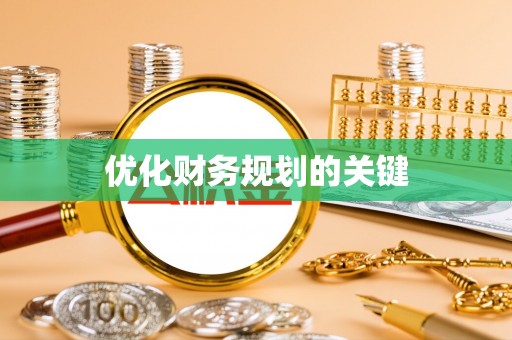 杨梅优化财务规划的关键