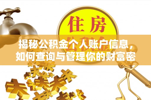 杨梅揭秘公积金个人账户信息，如何查询与管理你的财富密码